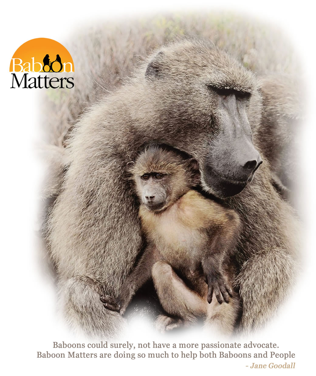 Baboon Matters Trust - South Africa