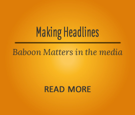 Baboon Matters in the Media