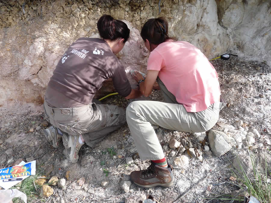 M. Martin and P. Pebsworth collecting soil samples – Photo P Pebsworth
